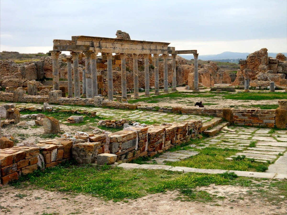 Сегодня тунисцы показывают восхищенным туристам руины именно римского Карфагена - от изначально финикийского ничего толком не осталось
