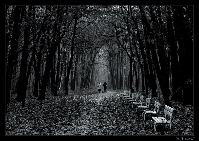 Чёрно-белые снимки с элегичными мотивами 