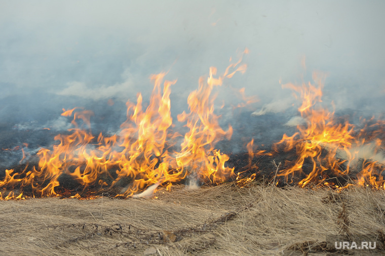 Правда ли, что пожары в Сибири вызвало климатическое оружие?