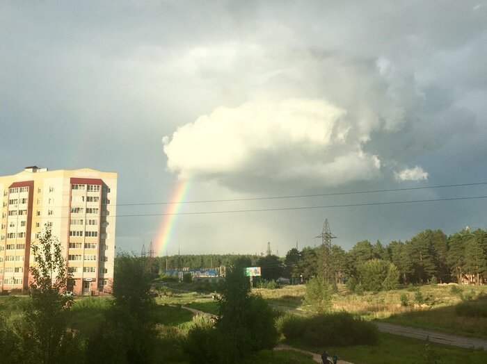 Шутки за 300 от матушки-природы Шутки за 300 от матушки-природы деревья ,интересное, природа , природные явления, растения, шутки