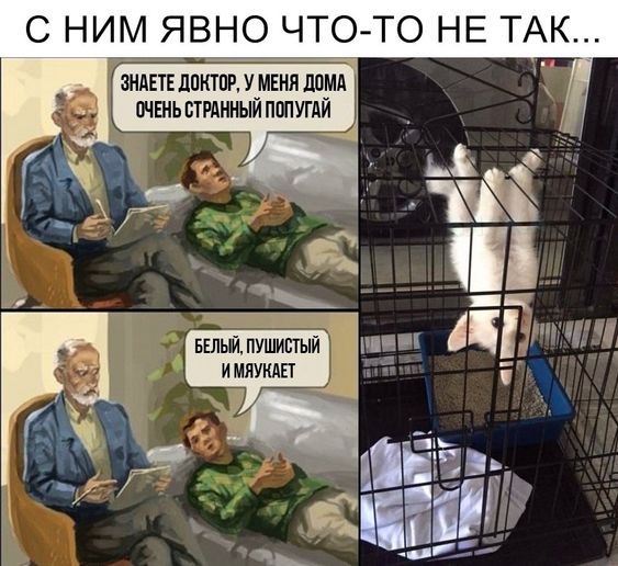 Юмористические открытки 