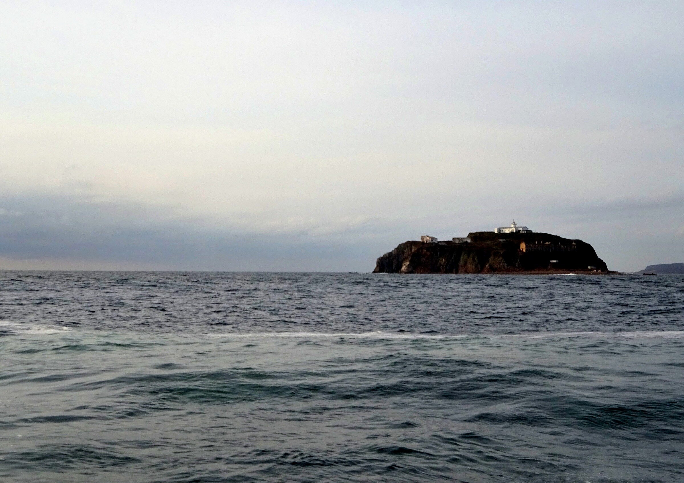 Путешествие к тюленям Ларги. Камни Унковского Путешествие к тюленям Ларги. Камни Унковского