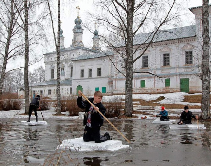 Приколы в картинках и фото 