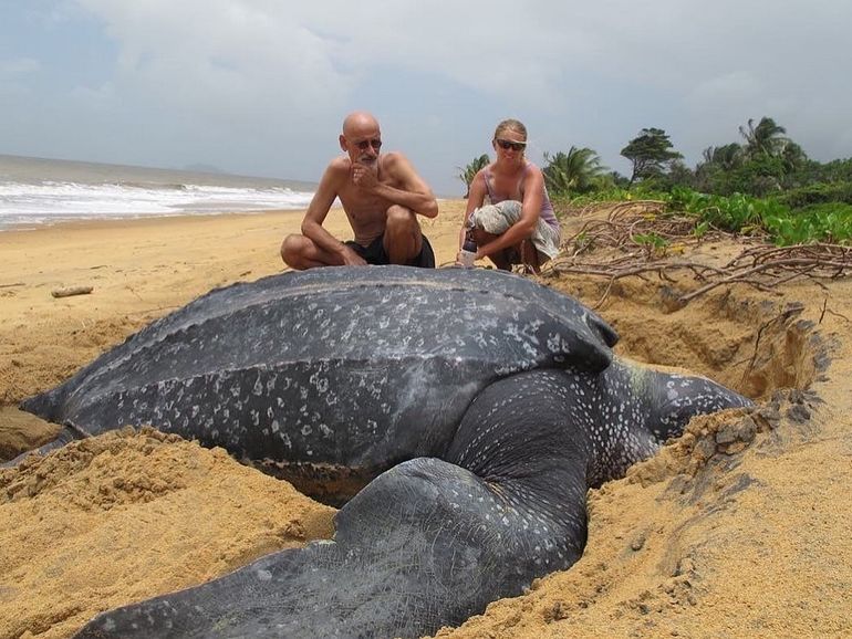 Подборка веселых и интересных картинок авто и мото,автоновости,автоюмор