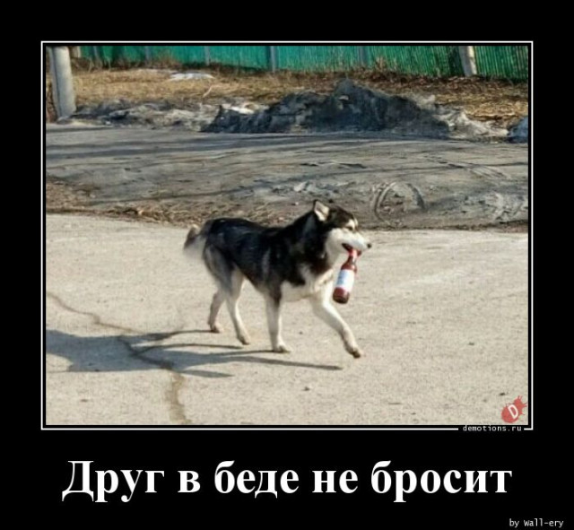 Демотивирующий юмор в картинках: «Нашёл прошлогодний пельмень…» 