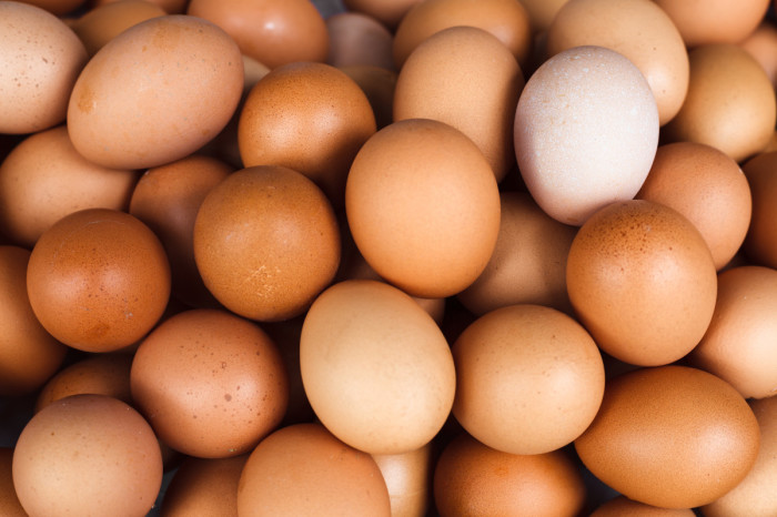 В бурых яйца встречается чаще. |Фото: sozcu.com.tr.