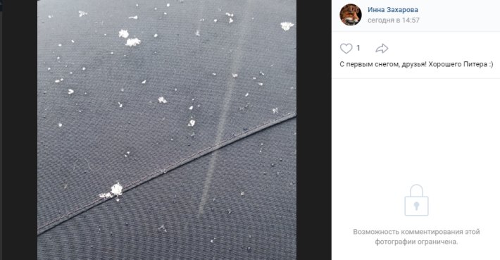 Петербуржцы опубликовали фото первого снега 