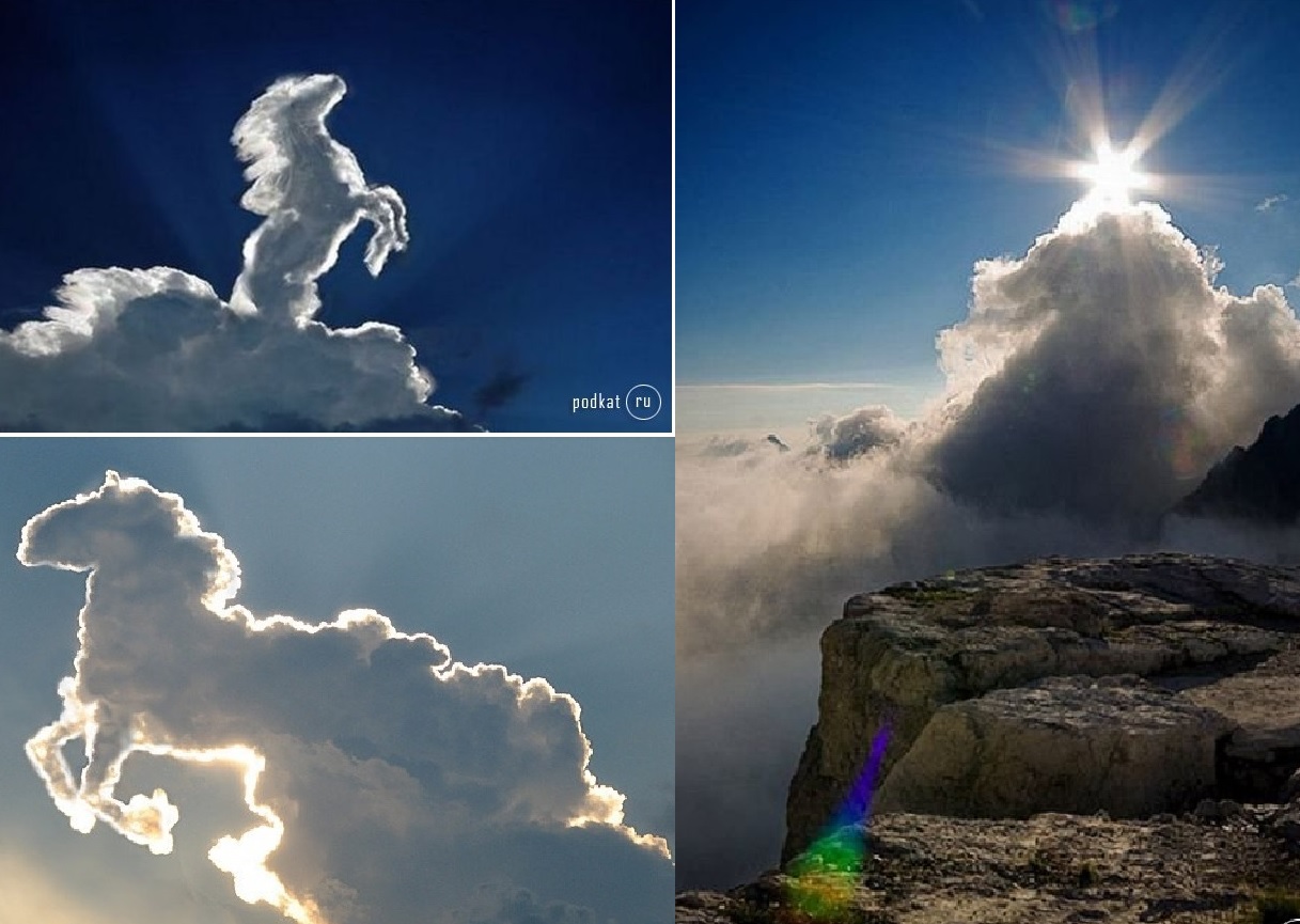 Фото из мультика облака белогривые лошадки