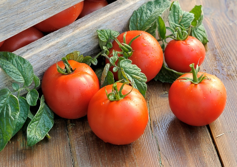 Народные средства для подкормки помидоров – самые лучшие рецепты огород,томаты