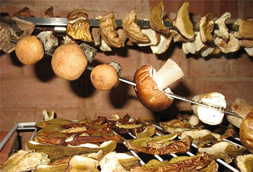 Сушка грибов на шампурах