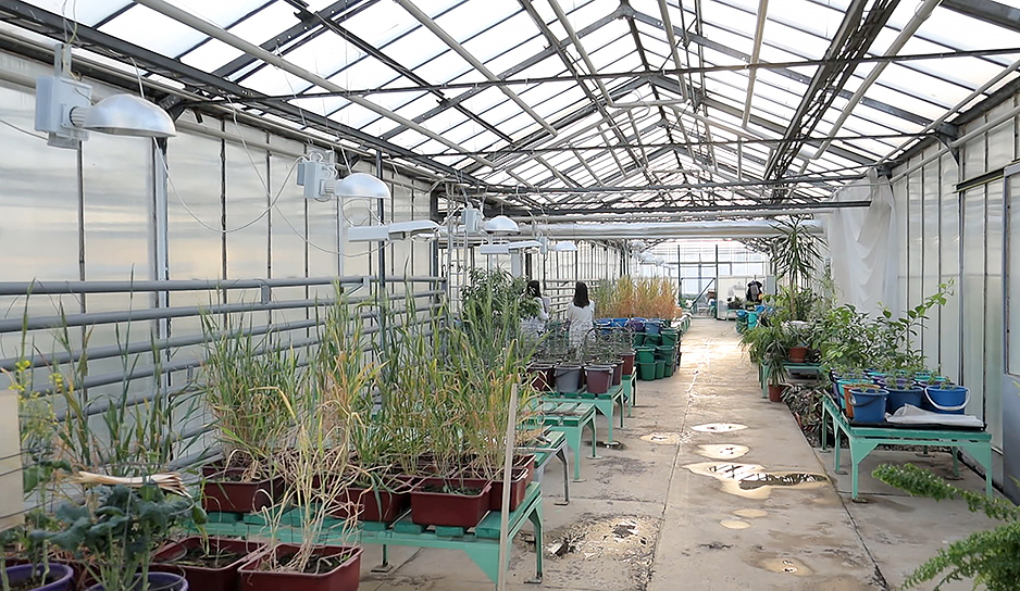 "Контроль качества": как в Могилевской области готовятся к посевной