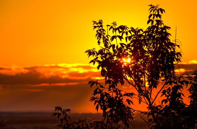 Вся правда о Коми Путешествия,Россия,фото