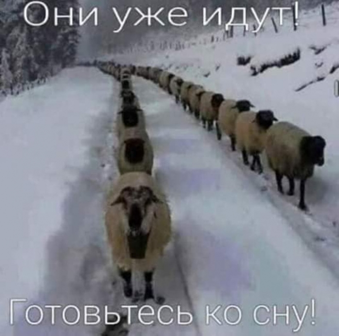 Идеальная жена - как таракан. Её видишь или ночью, или на кухне