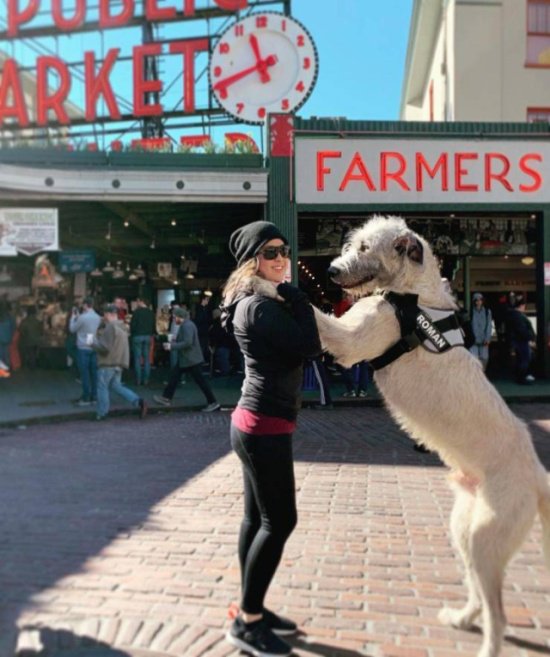 Фотоподборка четверга  