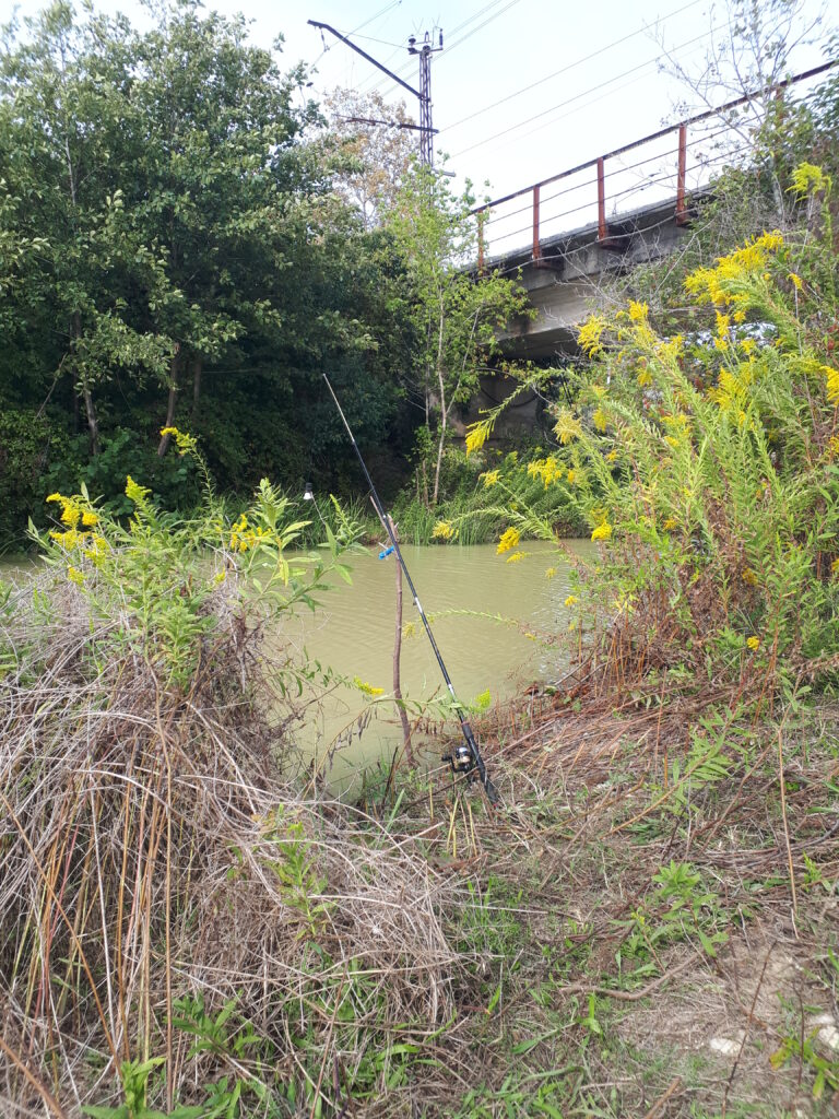 Кавказский голавль клюёт… на шашлык