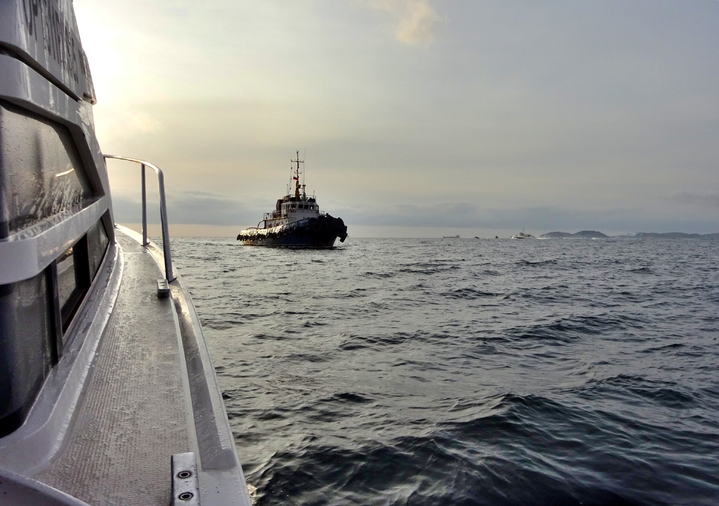 Путешествие к тюленям Ларги. Камни Унковского Путешествие к тюленям Ларги. Камни Унковского