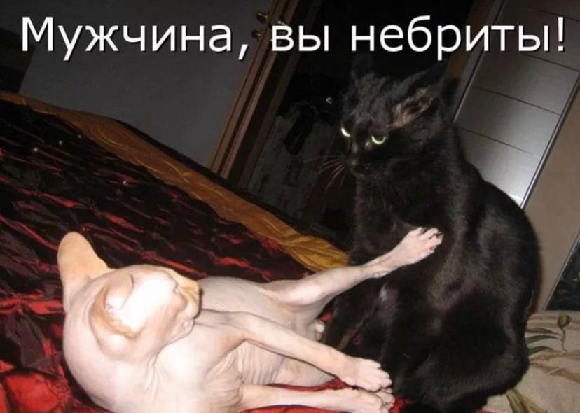 Шутки и юмор который порадует вас 