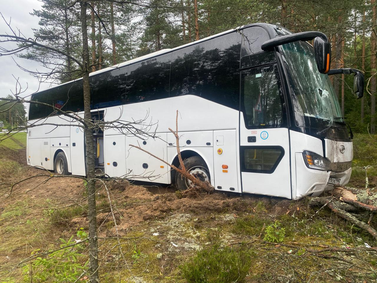 Автобус с пассажирами уехал в кювет и дерево на трассе в Ленобласти
