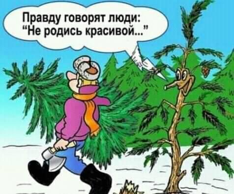 Ноги от ушей - это комплимент, руки из жопы - это оскорбление. Хотя если подумать, и то и другое - не красиво смотреть, бухали, Съездил, здесь, самолете, только, можно, отдыхаю, Очень, такая, очень, пишут, Гайдар, ушёл—, жизни, потом, дырками, компы, флэшки, раскладкарусская