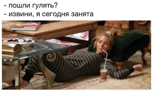 Солянка из веселых картинок и смешных фотографий с надписями 