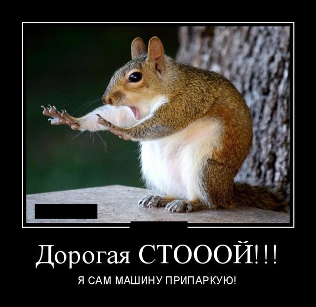 Классные и ржачные демотиваторы пятничного вечера для позитивного настроения Классные и ржачные демотиваторы пятничного вечера для позитивного настроения демотиваторы свежие,приколы,смешные демотиваторы,юмор