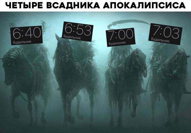 Фотоподборка четверга  