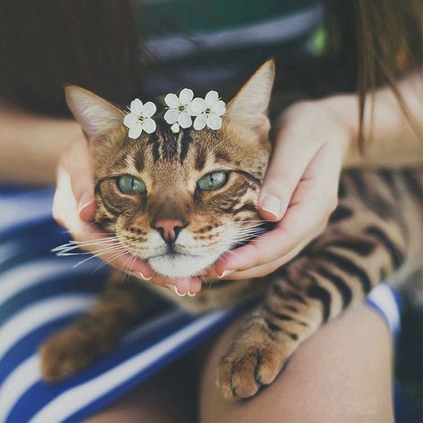 Картинки, приколы и фотографии для улыбки