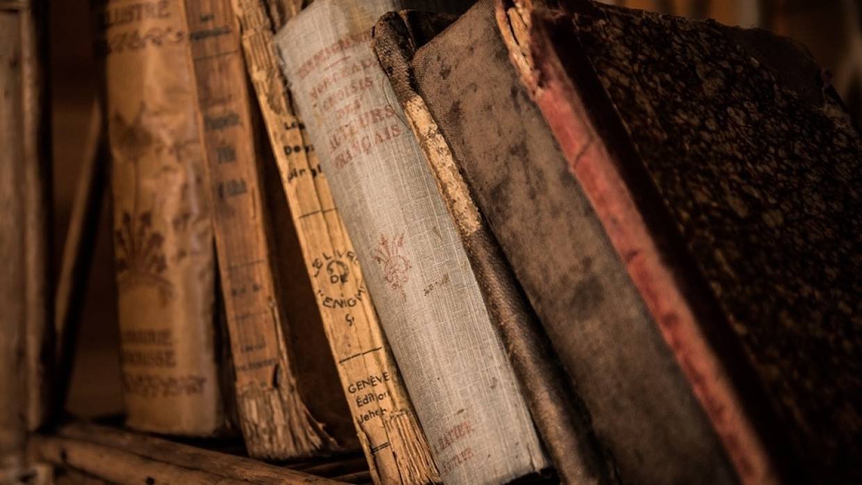 Выставка украденных во времена ВОВ книг открылась в Воронеже