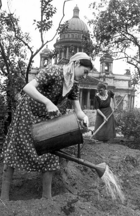 История блокадного Ленинграда в фотографиях История блокадного Ленинграда в фотографиях доказательства