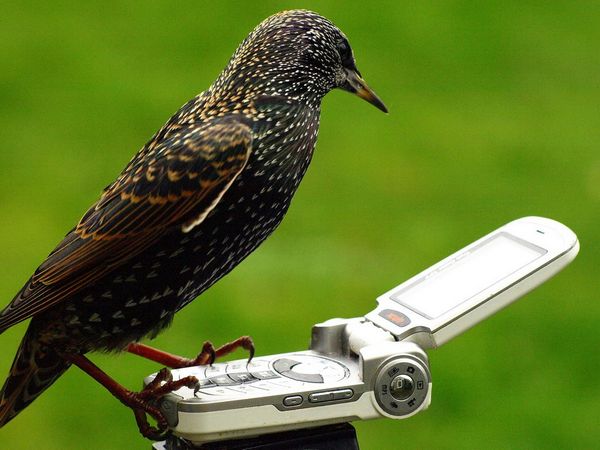 Давайте улыбаться вместе :)