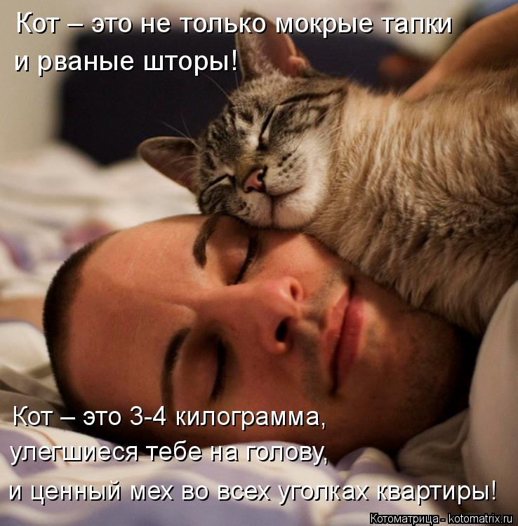 Котоматрица: Кот – это не только мокрые тапки  и рваные шторы! Кот – это 3-4 килограмма,  и ценный мех во всех уголках квартиры!  улегшиеся тебе на голову,