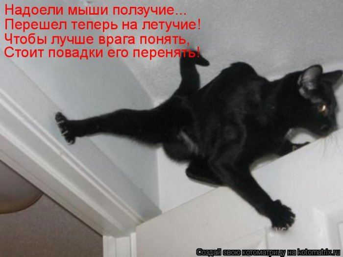 Мысли вслух :)