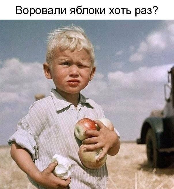 Идеальная жена - как таракан. Её видишь или ночью, или на кухне анекдоты,веселые картинки,приколы,юмор