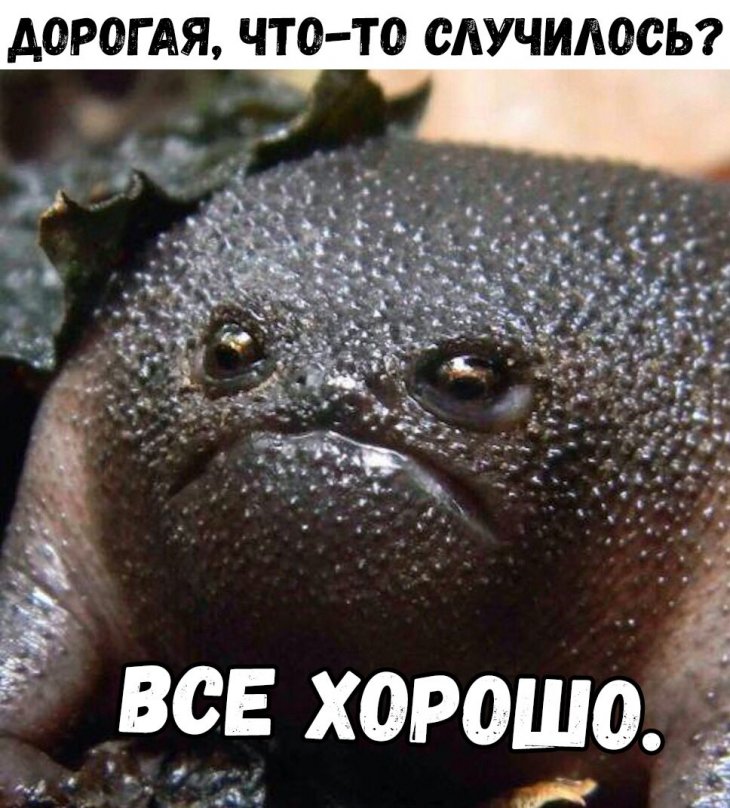Свеженькие мемы и приколы Свеженькие мемы и приколы