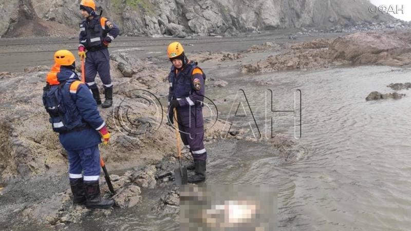 Возобновлены работы спасателей на месте крушения Ан-26 в Хабаровском крае