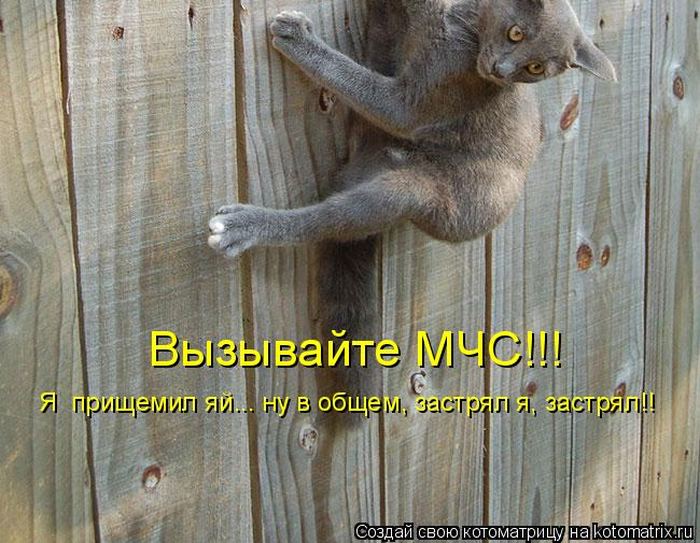 Мысли вслух :)