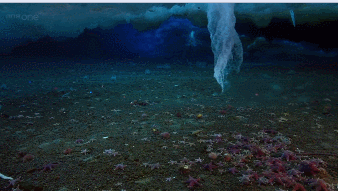 
Брайникл — это самая настоящая морская сосулька. Она появляется, когда при подтоплении айсберга из него выделяется ледяной солёный раствор, который замораживает вокруг себя морскую воду. Добравшись до дна, «палец смерти» уничтожает неторопливые живые организмы на площади нескольких метров.
