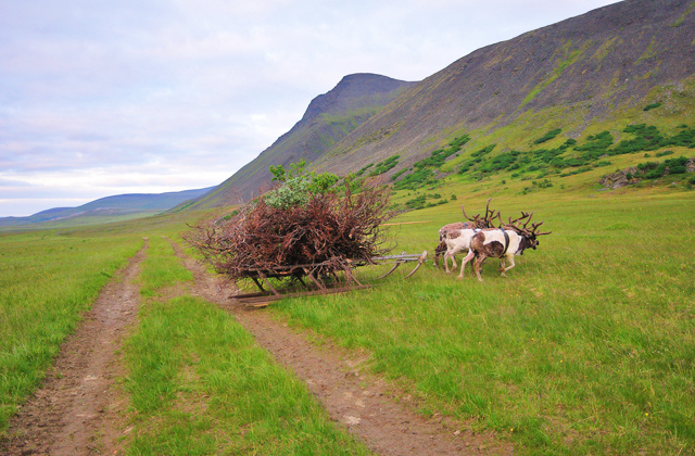 Вся правда о Коми Путешествия,Россия,фото