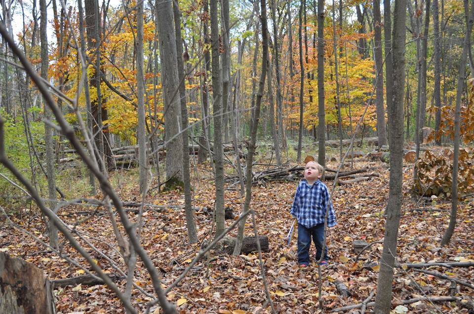 Дети должны быть на улице 4-6 часов в день. Вот почему это важно воспитание