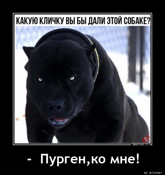 Новая коллекция прикольных демотиваторов для всех ценителей сарказма и юмора! 