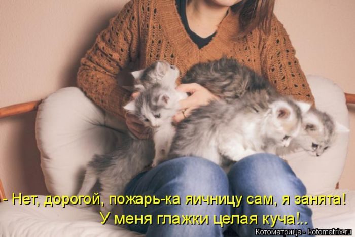 Лучшие котоматрицы за прошедшую неделю