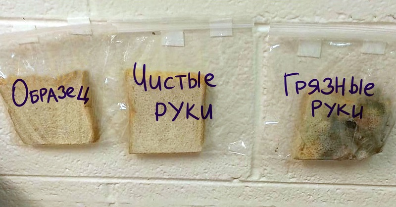 опыты для детей