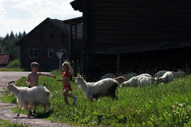 Другой мир, другая жизнь 