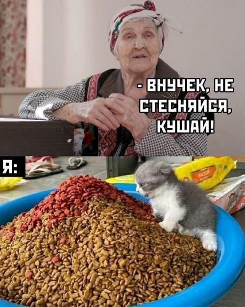 Свежие хорошие веселые картинки 