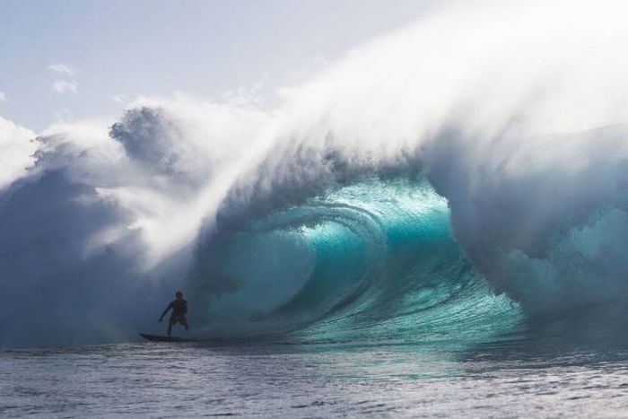 Великолепные фото, не нуждающиеся в комментариях (47 фото)