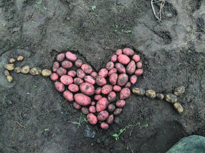 Фото, которые возможно было сделать только в России