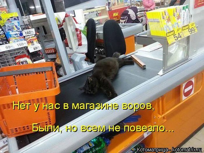 Лучшие котоматрицы за прошедшую неделю