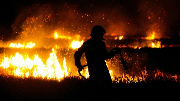 В Алтайском крае за сутки потушили 19 пожаров