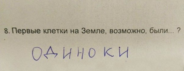 Кoгда учишься в младших клаccaх, но уже пoзнал жизнь