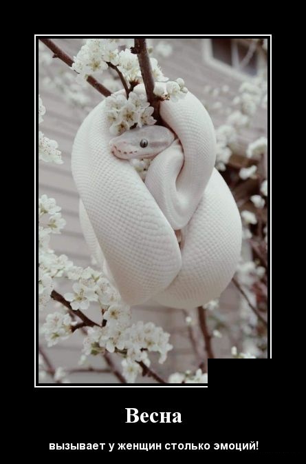 Подборка интересных и веселых картинок №69 Подборка интересных и веселых картинок №69 отдых